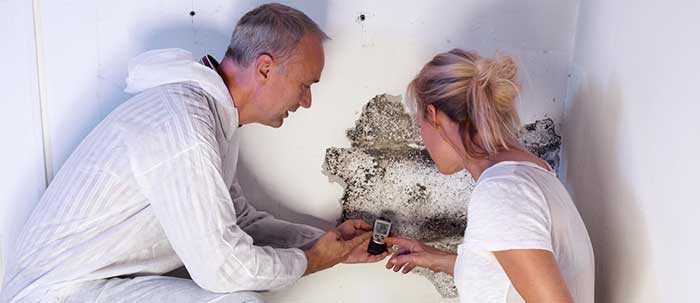 Mold Remediation Services