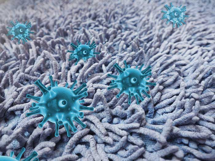 A Blooming Of Allergens Why You Need To Spring Clean Your Carpet A Blooming Of Allergens Why You Need To Spring Clean Your Carpet