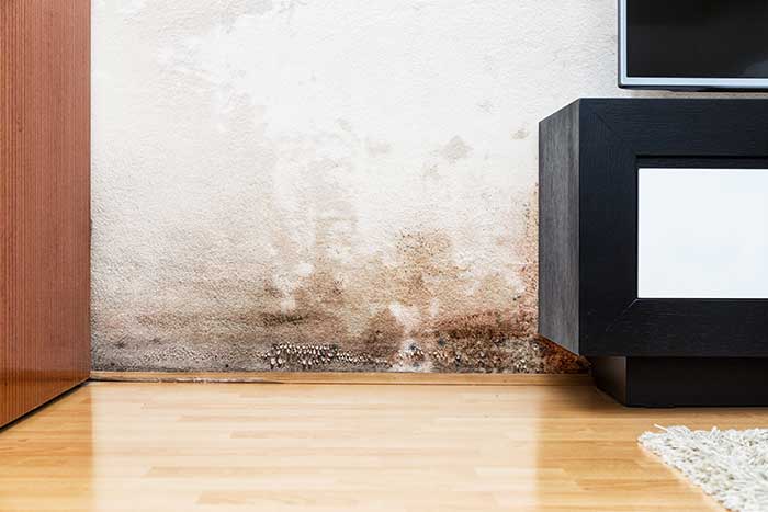 Fighting Off Moisture How To Treat Water Damaged Walls Fighting Off Moisture How To Treat Water Damaged Walls