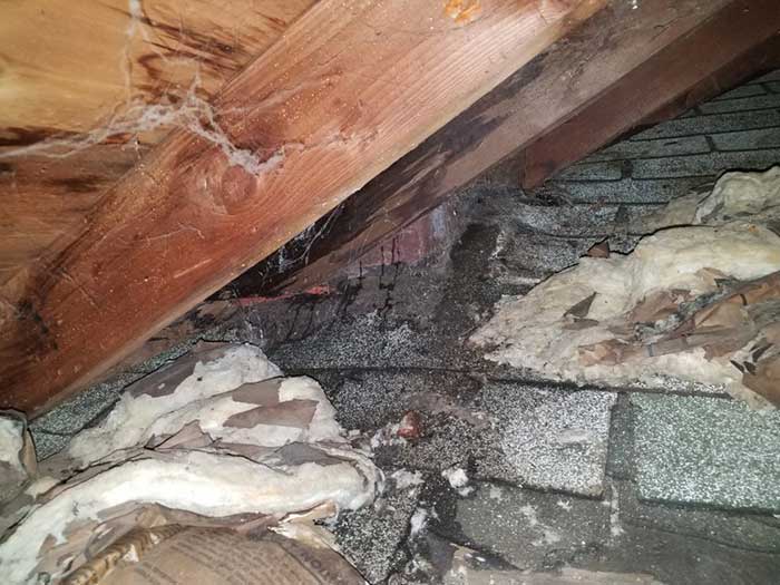 In And Around Your Attic Water Damage