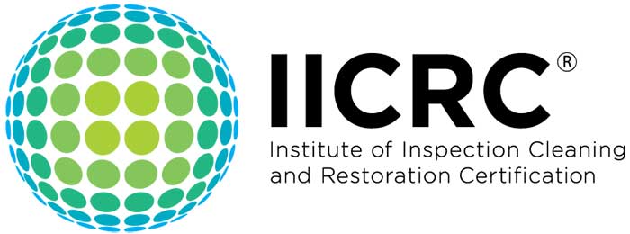 Seeking Certified Solutions With An Iicrc Certified Team