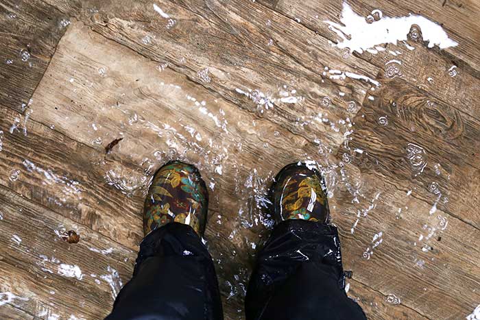 When Youre Floored By Water Damage Can You Fix Your Hardwood When Youre Floored By Water Damage Can You Fix Your Hardwood