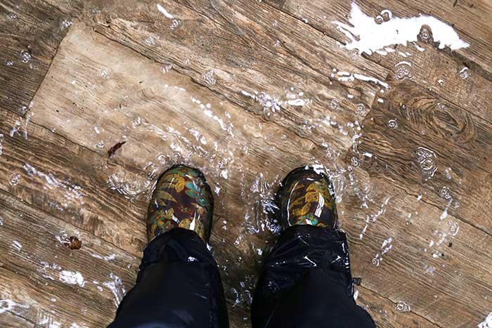 When Youre Floored By Water Damage Can You Fix Your Hardwood