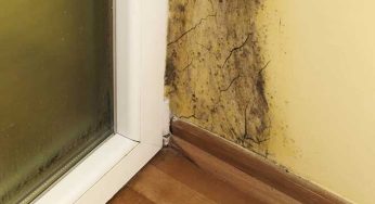 Tips to Preventing Mold in Your Home