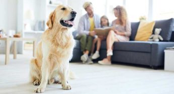 We Can Help With Carpet, Tile, Grout and Duct Cleaning Services